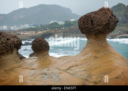 Bizarre Pilz geformten Felsen an der Yeliu (Yehliu) Geopark in Taiwan. Stockfoto