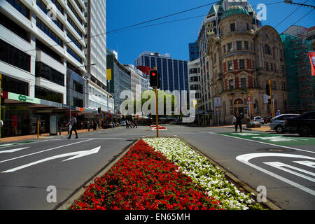 Blumen und Bürogebäuden, Lambton Quay, Wellington, Nordinsel, Neuseeland Stockfoto