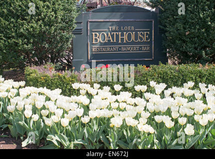 Anzeige der Tulpen vor dem Loeb Boathouse Restaurant Schild im Central Park, New York, USA Stockfoto