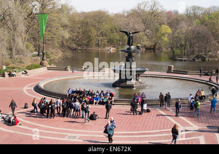 Gruppe von Touristen sammeln für ein Foto in der Bethesda-Brunnen im Central Park, New York, USA Stockfoto