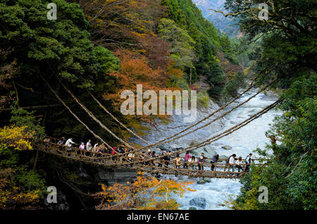 Japanische Leute überqueren die berühmte Rebe Brücke an Kazurabashi, Iya Valley, Tokushima, Shikoku, Japan. Alte Hängebrücke; Fluss; Herbst Farben Stockfoto