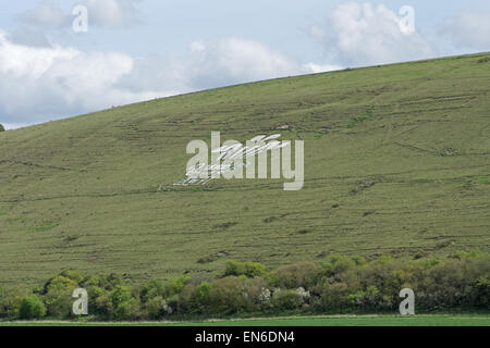 Royal Wiltshire yeomanry Abzeichen auf Hügel bei fovant Wiltshire Stockfoto