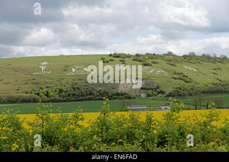 Hill Abzeichen an fovant von Soldaten geschnitzten vor dem Zweiten Weltkrieg 1. Stockfoto