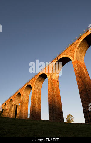 Leaderfoot Viadukt über den Fluss Tweed in der Nähe von Melrose in den Scottish Borders bei Sonnenaufgang. Schottland Stockfoto