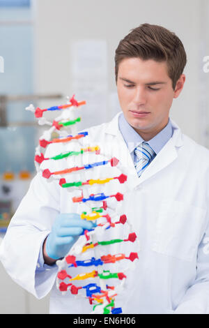 Wissenschaftler halten DNA-Modell Stockfoto