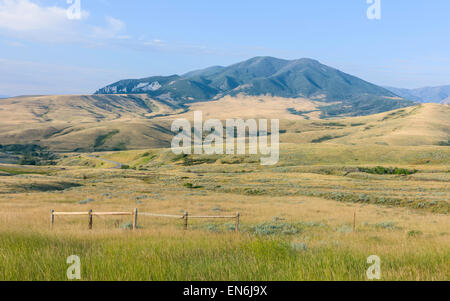 Ausläufern des Bären Zahn-Gebirges in der Morgendämmerung an einem Sommertag mit Beifuß und Grünland mitten in der Prärie. Stockfoto