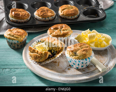 Blaubeer-muffins Stockfoto