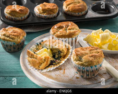 Blaubeer-muffins Stockfoto