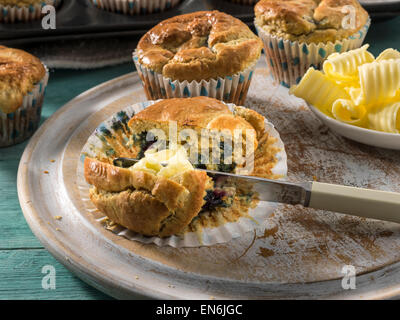 Blaubeer-muffins Stockfoto