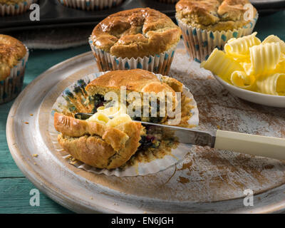 Blaubeer-muffins Stockfoto