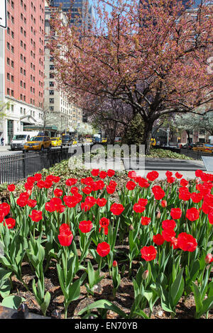 New York, NY, USA. 22 th April 2015. Blick auf Park Avenue mit Tulpen in NYC in New York City, USA am 22. April 2015 zu sehen Stockfoto
