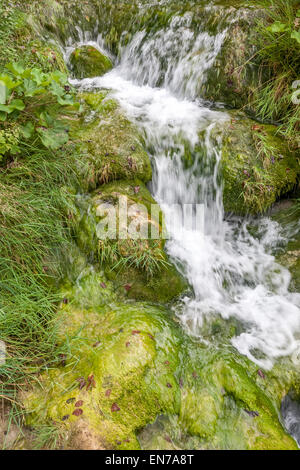 Plitvicer Seen Kroatien Stockfoto