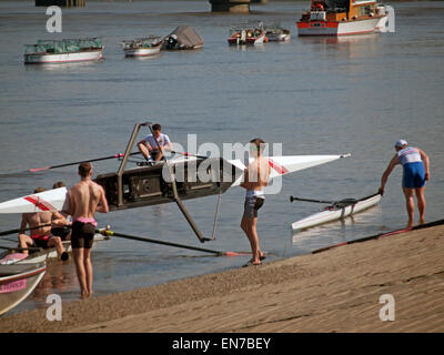 Ruder-Club-Mitglieder an der Themse auf dem Putney Damm in West-London Stockfoto