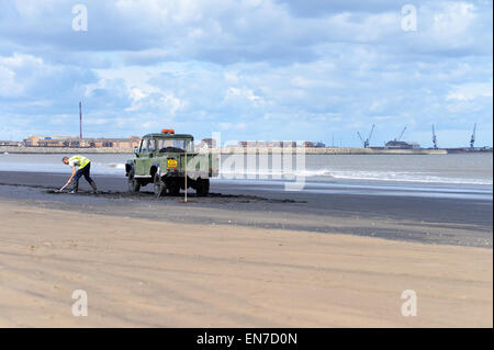 Menschen sammeln Meer-Kohle auf Seaton Carew Strand in der Nähe von Hartlepool, UK Stockfoto