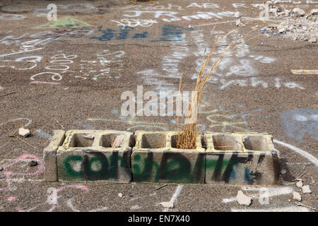 Alten Route 61 oder Graffiti-Autobahn in Centralia, Pennsylvania, wo ein Bergwerk-Feuer, das im Jahre 1962 begann bis zum heutigen Tag brennt weiter. Stockfoto