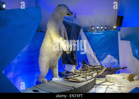 Oslo, Norwegen. 7. April 2015. Ein ausgestopften Eisbären wird auf dem Display an das Fram-Museum auf der Bygdoey Halbinsel in Oslo, Norwegen, 7. April 2015. Das Museum widmet sich der Geschichte der norwegischen Polarexpeditionen. Foto: JENS Büttner/Dpa/Alamy Live News Stockfoto