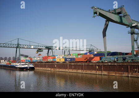 Niehl, Containerterminal, Köln, Nordrhein-Westfalen, Deutschland. Stockfoto