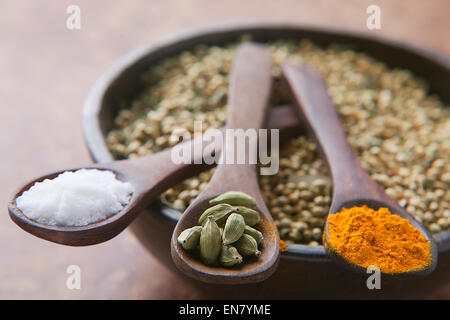 Nahaufnahme von Salz, Kardamom und Curcuma auf Holzlöffel Stockfoto