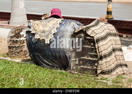 Verkauf von Vögel für religiöse Zwecke in Phnom Penh, Kambodscha, Asien. Stockfoto