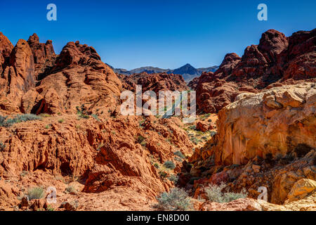 Tal des Feuers, nv, usa Stockfoto