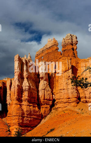 Bryce Canyon, Ut, usa Stockfoto