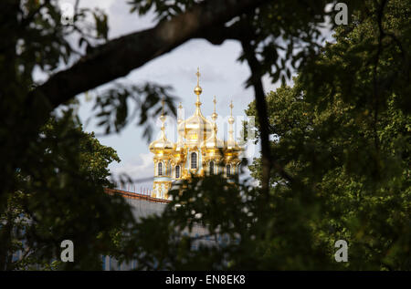 Goldene Kuppel der Katharinenpalast, befindet sich in Tsarskoye Selo (Puschkin), Sankt Petersburg, Russland Stockfoto