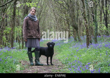 Frau und ihr Hund stehen im Bluebell Holz. Normandie Frankreich. Stockfoto