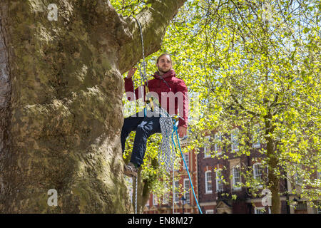 Bristol, UK. 29. April 2015. Demonstranten erkletterten Bäume oben ein Banner in Bristol Queens Square zur Sensibilisierung für die Zerstörung von Bauland in Stapleton für das neue Metrobus-Projekt zu setzen.  Sie marschierten später nach der Stadt Gemeindeverwaltung.  Früher im Jahr besetzt die Demonstranten Bäume auf der Metrobus-Website für mehrere Wochen vor einer Zwangsräumung. 29. April 2015. Bildnachweis: Redorbital Fotografie/Alamy Live-Nachrichten Stockfoto