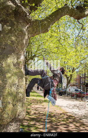 Bristol, UK. 29. April 2015. Demonstranten erkletterten Bäume oben ein Banner in Bristol Queens Square zur Sensibilisierung für die Zerstörung von Bauland in Stapleton für das neue Metrobus-Projekt zu setzen.  Sie marschierten später nach der Stadt Gemeindeverwaltung.  Früher im Jahr besetzt die Demonstranten Bäume auf der Metrobus-Website für mehrere Wochen vor einer Zwangsräumung. 29. April 2015. Bildnachweis: Redorbital Fotografie/Alamy Live-Nachrichten Stockfoto