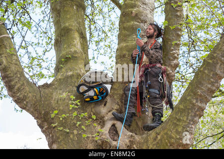 Bristol, UK. 29. April 2015. Demonstranten erkletterten Bäume oben ein Banner in Bristol Queens Square zur Sensibilisierung für die Zerstörung von Bauland in Stapleton für das neue Metrobus-Projekt zu setzen.  Sie marschierten später nach der Stadt Gemeindeverwaltung.  Früher im Jahr besetzt die Demonstranten Bäume auf der Metrobus-Website für mehrere Wochen vor einer Zwangsräumung. 29. April 2015. Bildnachweis: Redorbital Fotografie/Alamy Live-Nachrichten Stockfoto