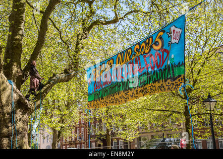 Bristol, UK. 29. April 2015. Demonstranten erkletterten Bäume oben ein Banner in Bristol Queens Square zur Sensibilisierung für die Zerstörung von Bauland in Stapleton für das neue Metrobus-Projekt zu setzen.  Sie marschierten später nach der Stadt Gemeindeverwaltung.  Früher im Jahr besetzt die Demonstranten Bäume auf der Metrobus-Website für mehrere Wochen vor einer Zwangsräumung. 29. April 2015. Bildnachweis: Redorbital Fotografie/Alamy Live-Nachrichten Stockfoto