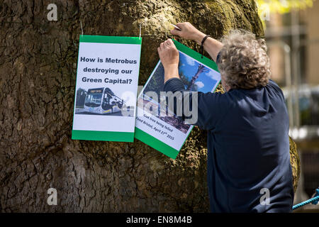 Bristol, UK. 29. April 2015. Demonstranten erkletterten Bäume oben ein Banner in Bristol Queens Square zur Sensibilisierung für die Zerstörung von Bauland in Stapleton für das neue Metrobus-Projekt zu setzen.  Sie marschierten später nach der Stadt Gemeindeverwaltung.  Früher im Jahr besetzt die Demonstranten Bäume auf der Metrobus-Website für mehrere Wochen vor einer Zwangsräumung. 29. April 2015. Bildnachweis: Redorbital Fotografie/Alamy Live-Nachrichten Stockfoto