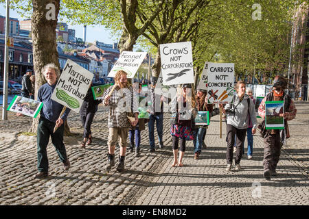 Bristol, UK. 29. April 2015. Demonstranten erkletterten Bäume oben ein Banner in Bristol Queens Square zur Sensibilisierung für die Zerstörung von Bauland in Stapleton für das neue Metrobus-Projekt zu setzen.  Sie marschierten später nach der Stadt Gemeindeverwaltung.  Früher im Jahr besetzt die Demonstranten Bäume auf der Metrobus-Website für mehrere Wochen vor einer Zwangsräumung. 29. April 2015. Bildnachweis: Redorbital Fotografie/Alamy Live-Nachrichten Stockfoto