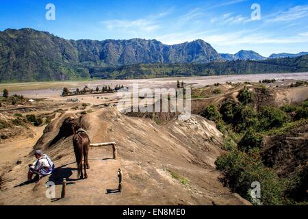 Garut, Indonesien. 8. Februar 2013. Ein Dorfbewohner mit seinem Pferd nimmt eine Rast am Sandstrand in der Nähe von Mount Bromo, spektakuläre vulkanische Gipfel, das hoch oben im Indonesiens Tengger-Gebirge liegt. © Garry Andrew Lotulung/Pacific Press/Alamy Live-Nachrichten Stockfoto