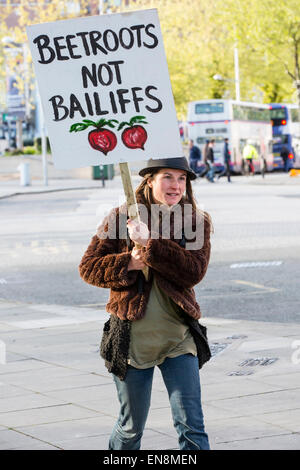 Bristol, UK. 29. April 2015. Demonstranten erkletterten Bäume oben ein Banner in Bristol Queens Square zur Sensibilisierung für die Zerstörung von Bauland in Stapleton für das neue Metrobus-Projekt zu setzen.  Sie marschierten später nach der Stadt Gemeindeverwaltung.  Früher im Jahr besetzt die Demonstranten Bäume auf der Metrobus-Website für mehrere Wochen vor einer Zwangsräumung. 29. April 2015. Bildnachweis: Redorbital Fotografie/Alamy Live-Nachrichten Stockfoto