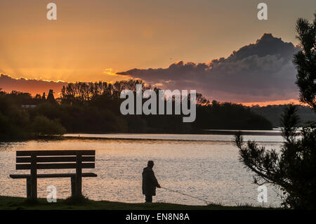 Bewl Wasser, Ticehurst, East Sussex, UK. 29. April 2015. UK-Wetter: Twilight Fliegenfischen. Bildnachweis: David Burr/Alamy Live-Nachrichten Stockfoto