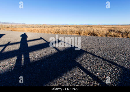 Selbstporträt des Fotografen Schatten auf Schotterstraße in der Nähe von Monte Vista, Colorado, USA Stockfoto