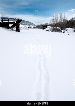 Fußabdrücke und Spuren im frischen Schnee. Stockfoto