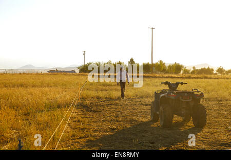 Eine Landwirtschaft Arbeitskraft geht auf seine vier Wheeler in einem Feld. Stockfoto