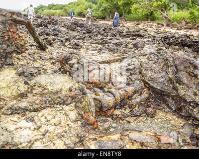 Million-Dollar-Punkt, Vanuatu.  US WW2 dumping Punkt für militärische Gebrauchtmaschinen am Ende des Krieges. Stockfoto