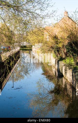 Schmalen Fluss mit Reflexion der Bäume im englischen Kleinstadt, Suffolk Stockfoto