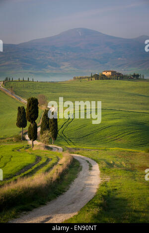 Zypressen und kurvenreiche Straße, Villa in der Nähe von Pienza, Toskana, Italien Stockfoto