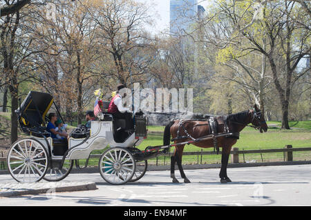 Menschen in Pferd gezogen Schlitten Central Park, New York, USA Stockfoto