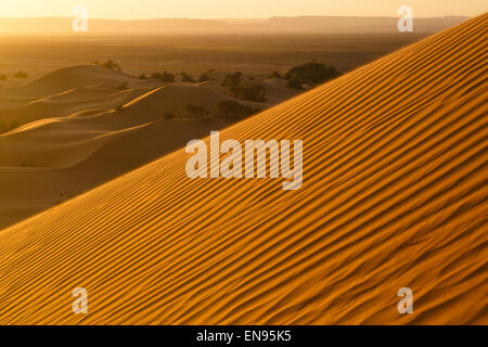 Sanddünen. Lihoudi Dünen. Wüste Sahara. Marokko. Stockfoto