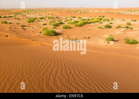 Sanddünen, Erg Chegaga. Wüste Sahara. Marokko. Afrika. Stockfoto