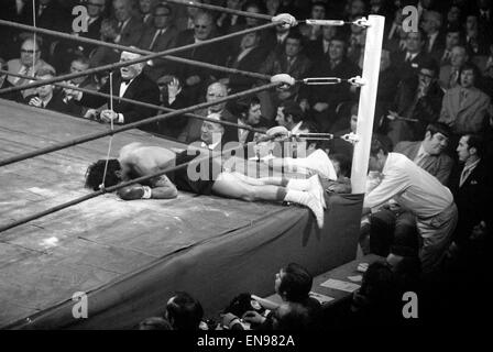 Eine zehn Runden im Weltergewicht Wettstreit. Jackie Turpin von Leamington Spa, Warwickshire und A1 Romano Welterweight Champion von New England USA. Unser Bild zeigt Romano nach unten auf die Leinwand. November 1971 71-10531-004 Stockfoto