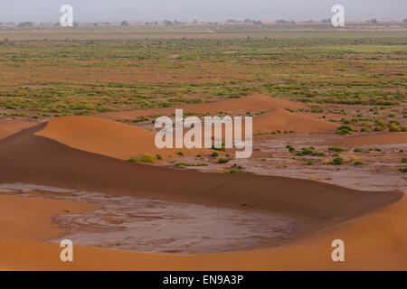 Campingplatz, Zelt, Haima. Sand, Dünen, Erg Chegaga, Sahara, Wüste, Afrika, Marokko Stockfoto