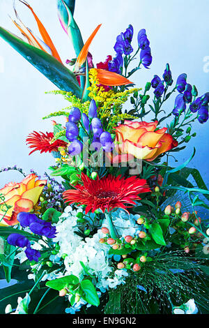 großen und eleganten Bouquet von Bird Of Paradise und anderen gemischten Blumen auf Grunge Hintergrund Stockfoto