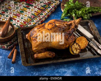 Marokkanische Huhn Stockfoto