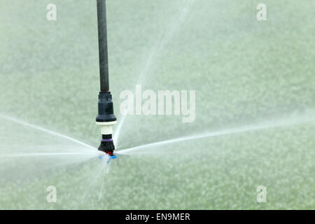 Eine Nahaufnahme von einer High-Tech-landwirtschaftliche Sprinkler Kopf Wasser landwirtschaftlichen Kulturen. Stockfoto